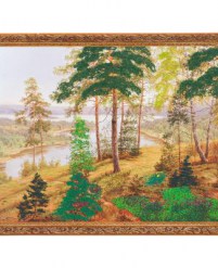 repro_206